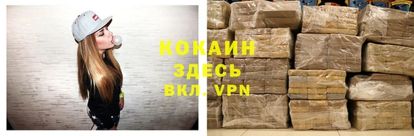 индика Балабаново