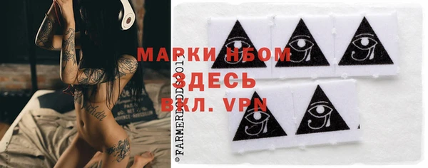 индика Балабаново