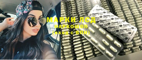 индика Балабаново