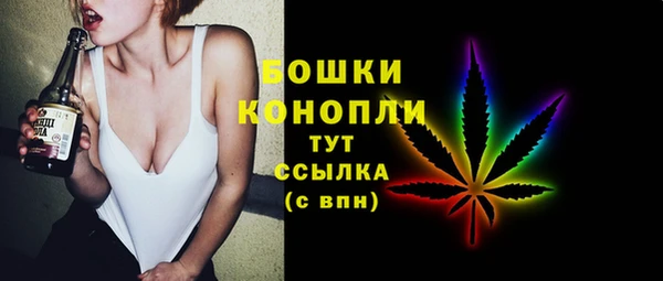 индика Балабаново