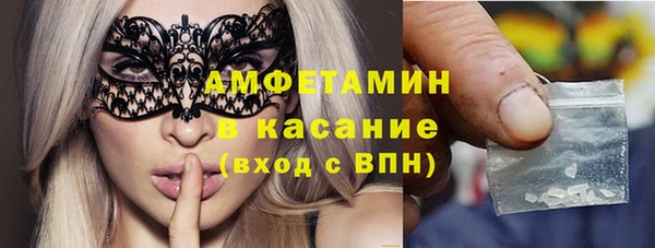 индика Балабаново